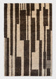 'Raster Brick'