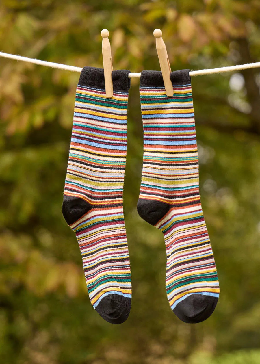 Signature Stripe