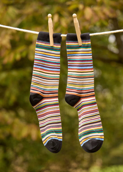 Signature Stripe