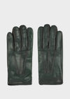 Petrol Green