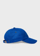 'Bar Paul' Blue